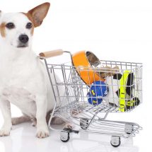 How To Save Money When Buying Pet Supplies