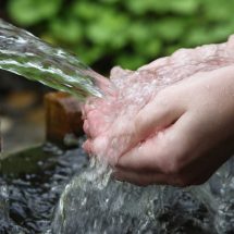Spring Water – What You Need To Know?