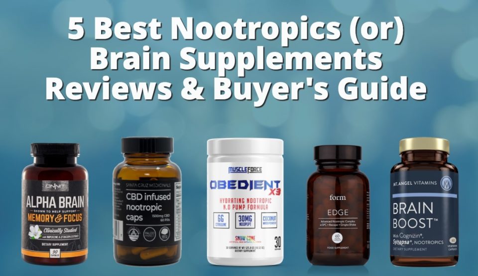 Some Of The Best Nootropics Available In The Market Today And How They