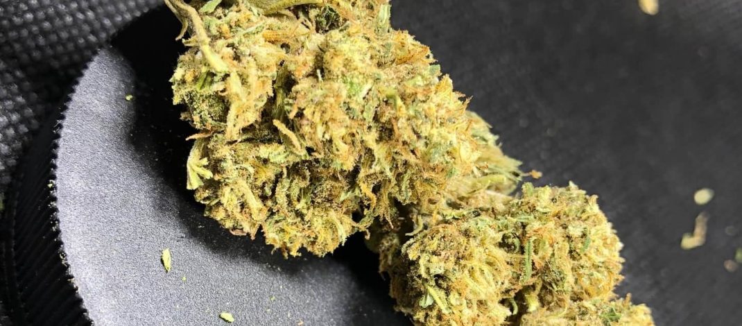 How To Choose The Right CBD Flower For Your Needs