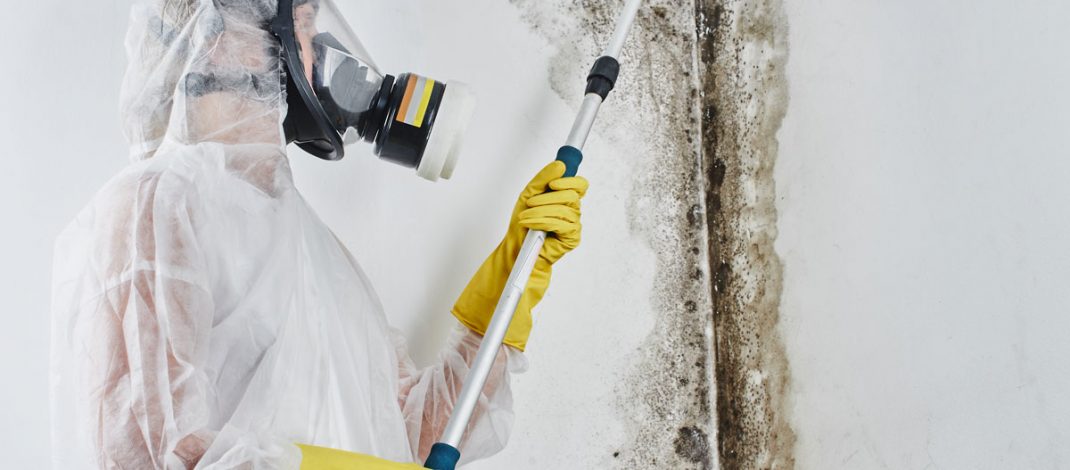 The Key To Tackling Mold: Why Professional Mold Remediation is Essential for Your Home