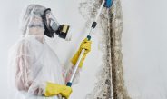 The Key To Tackling Mold: Why Professional Mold Remediation is Essential for Your Home