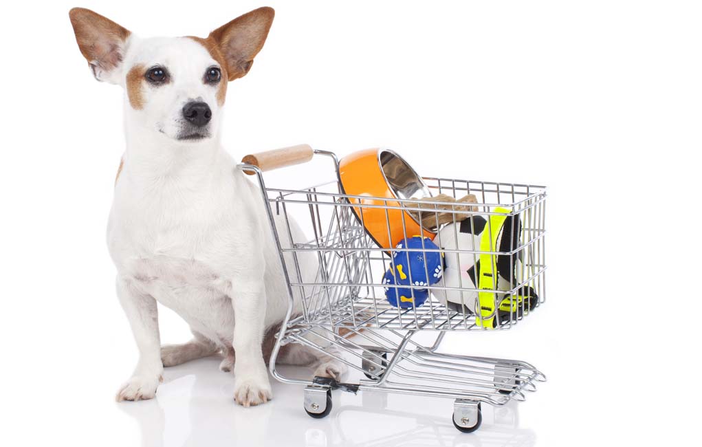 How To Save Money When Buying Pet Supplies