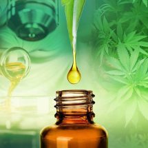Top 4 Crucial Oils with Advantages Similar To CBD
