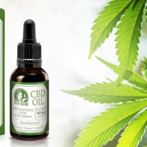 What Are The Health Benefits Of Using CBD Oil For A Dog?