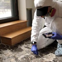 All About Mold Inspection