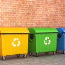 Dumpster Rentals – Some Important Facts