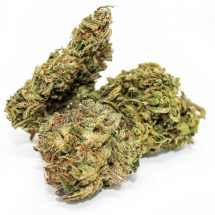 Types Of CBD Flowers And Their Features