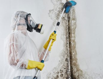 The Key To Tackling Mold: Why Professional Mold Remediation is Essential for Your Home